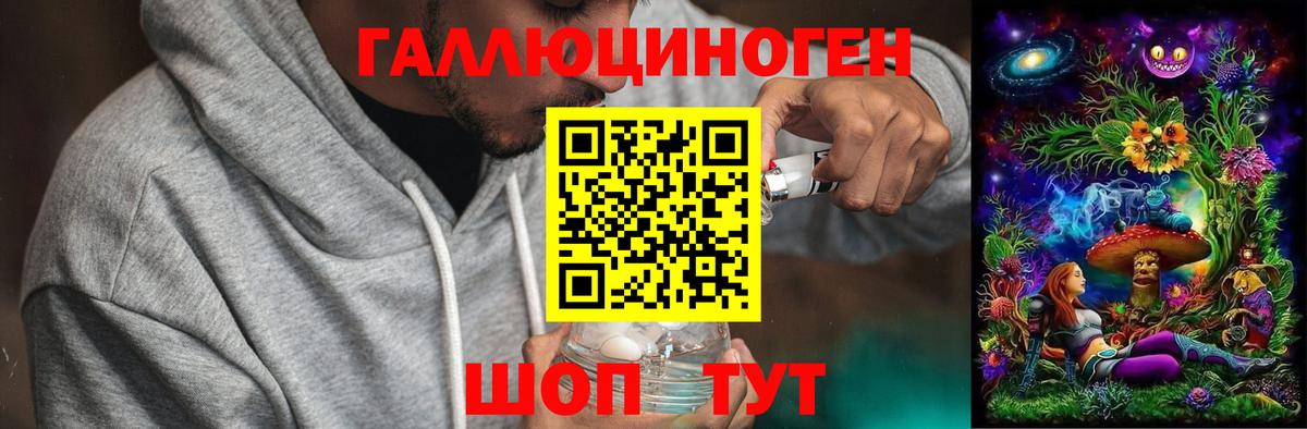 Зеленогорск  Галлюциногенные грибы прущие грибы  Вход с VPN 